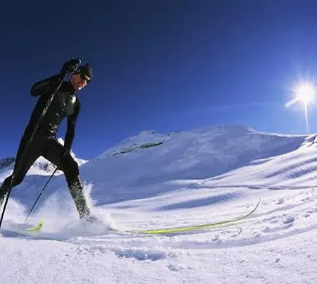 ホテル Alpenblick-leukerbad-therme 3*