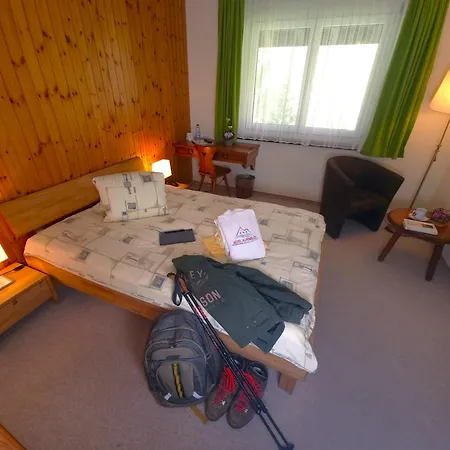 Alpenblick-leukerbad-therme 3* לויקרבאד